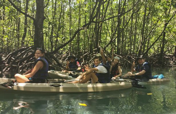 4 Hours Kilim Geopark Mangrove Kayaking