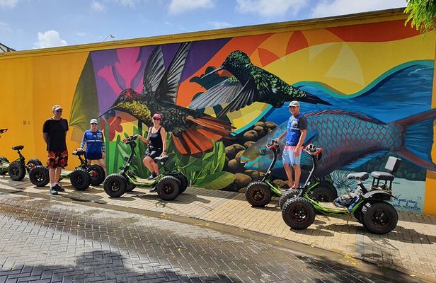 Baby Beach and San Nicolas Art Murals Private EZ Raider Adventure
