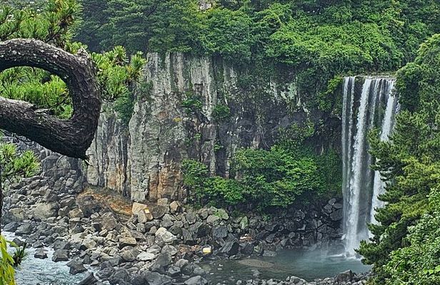 Jeju Private Tour Package-South of Jeju(Mt.Hallasan & Waterfalls)