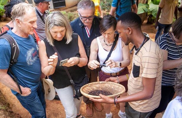 Full-Day Private Materuni Waterfalls and Coffee in Tanzania