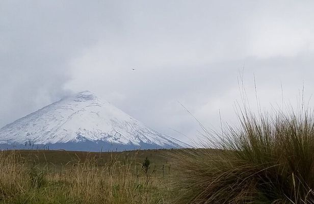 Cotopaxi National Park Private Tour from Quito with Guide