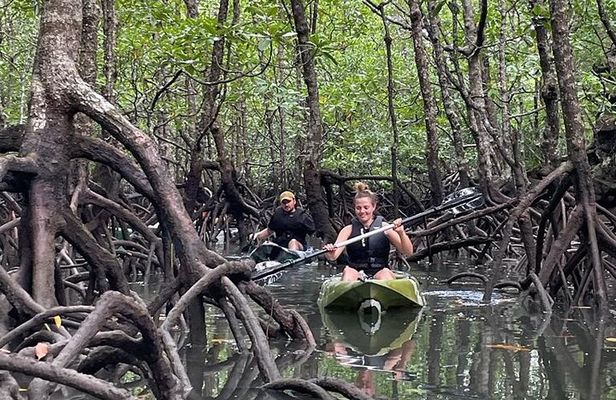 Half-Day Geopark Mangrove Kayaking Adventure