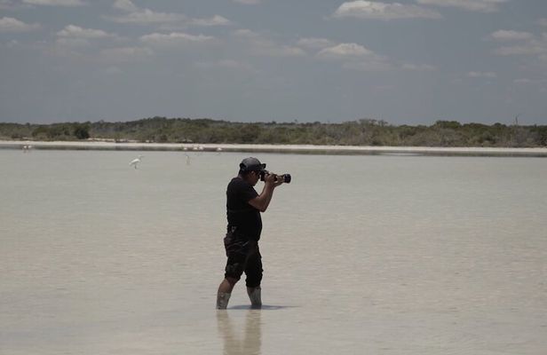 Full Day Tour from Tulum to Rio Lagartos