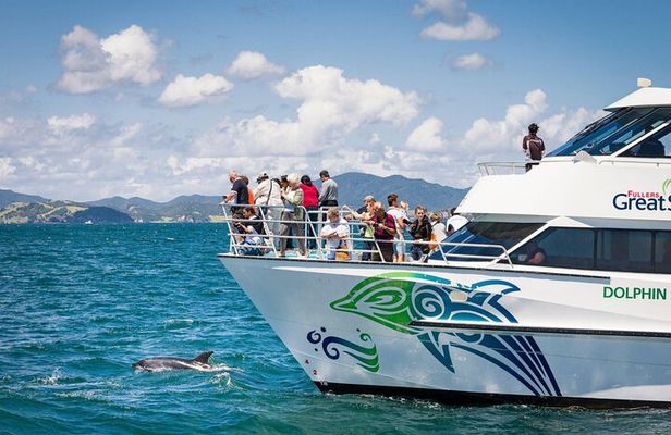 Private Yacht Cruise to Dolphin House with Lunch : Hurghada