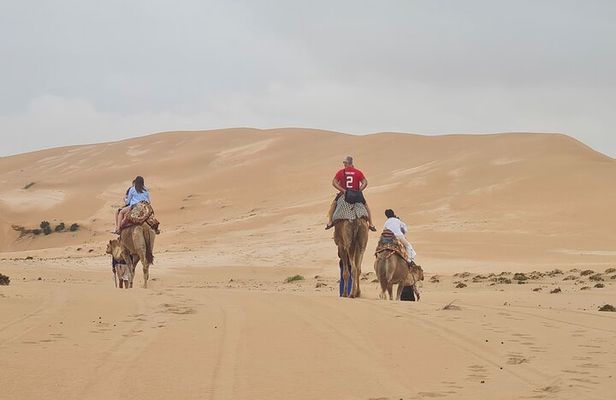 Agadir Sahara Desert including Camel ride, sandboarding & pickup
