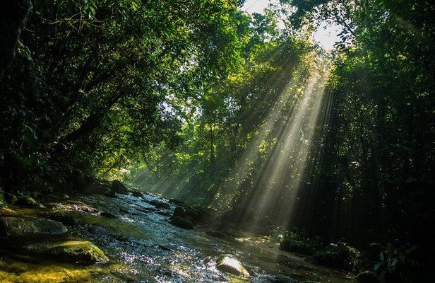 Coastal Trail Adventure in Bertioga: Exploring Natural Beauty