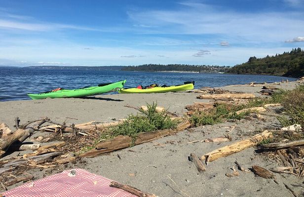 Discovery Point Kayak Tour