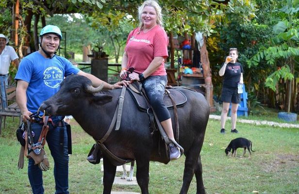 Amazing Horseback Riding in the tropical forest