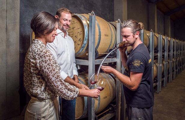 Marlborough Wine Tour - Afternoon of Cuisine & Wine 4hrs