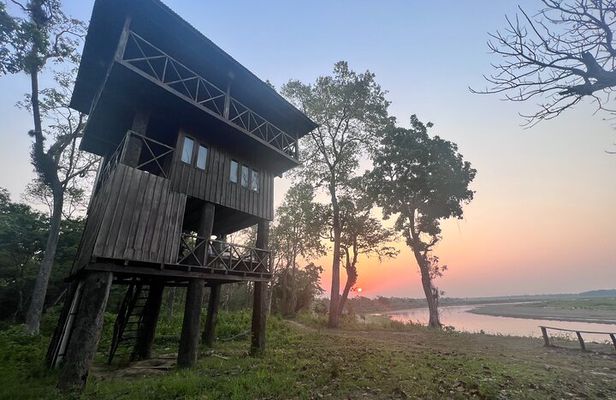 Jungle Towernight Stay: 4-Day Tour in Chitwan National Park