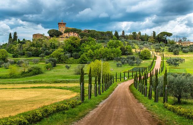 Half Day Escape to Chianti: Taste the Heart of Tuscany