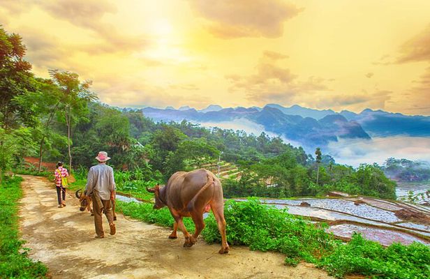 Pu Luong and Halong Bay Multi-Day Private Luxury Tour