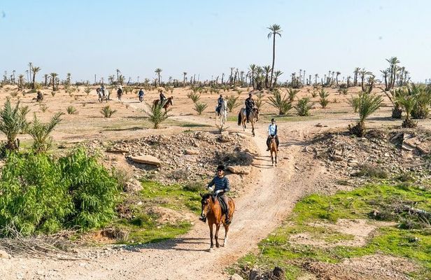 Private horseback ride in the Palmeraie of Marrakech