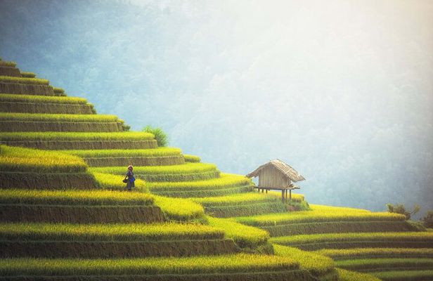Highlights of Northern Vietnam In 6 Days