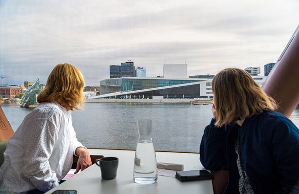 Guided Sightseeing Cruise on Oslofjord by Premium Silent Boat