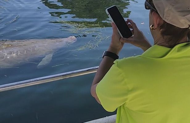 Private Crystal River Wildlife Boat Tour