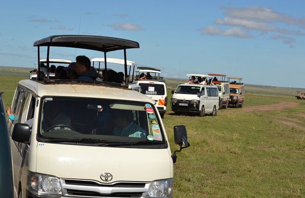 Nairobi National Park Half Day Tour