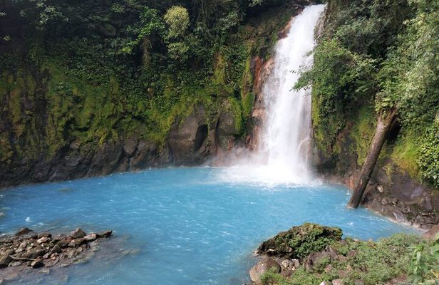 From La Fortuna: Río Celeste Waterfall, Tubing Tour and Lunch