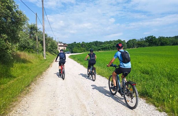 E-Bike tour and Wine tasting from Desenzano Inland