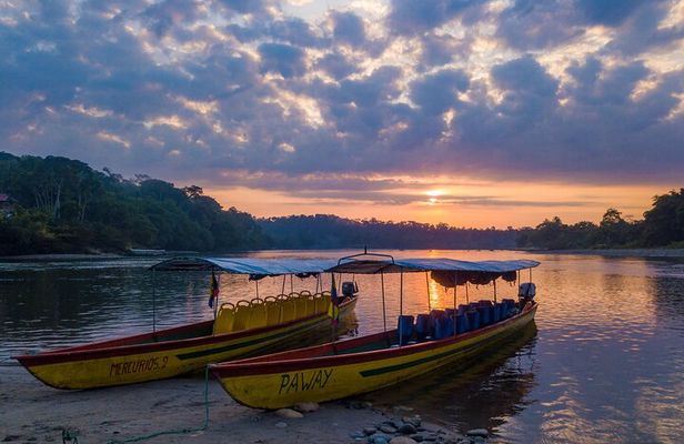 5 Days Embark on an Epic Amazonian Adventure from Quito, Ecuador