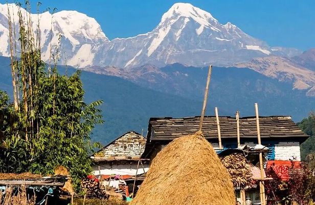 3 Days Ghorepani and Poonhill Private Trek from Pokhara