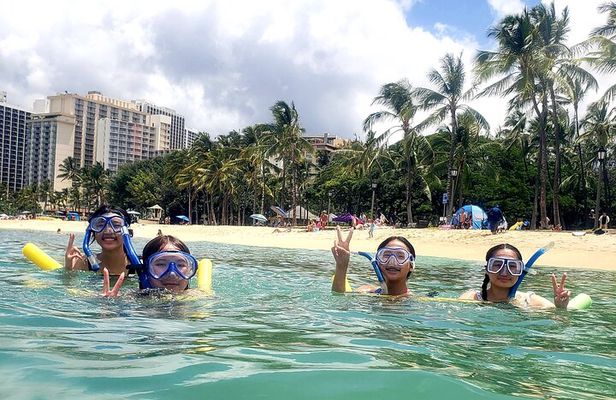 Waikiki Snorkeling Tons of Fish All Levels Free Video and Pics! 