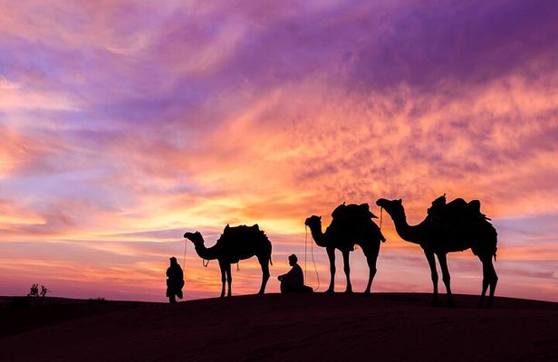 Douz Overnight Camp Stay in Sahara Desert with Dinner By Camel