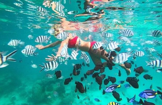 Zanzibar Half Day Trip in Mnemba Island