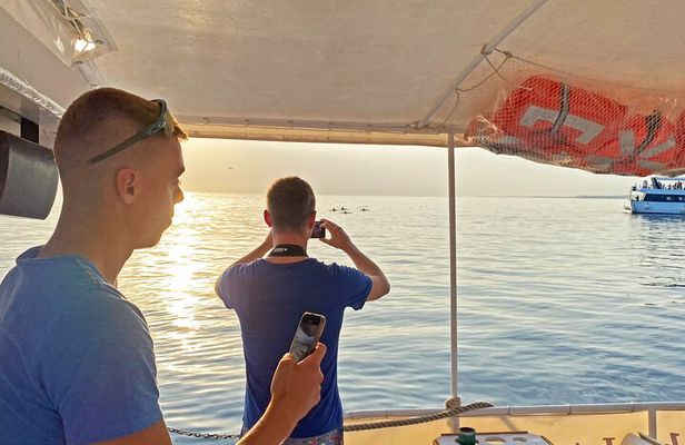 2-Hour Dolphin Guided Safari NP Brijuni from Fazana