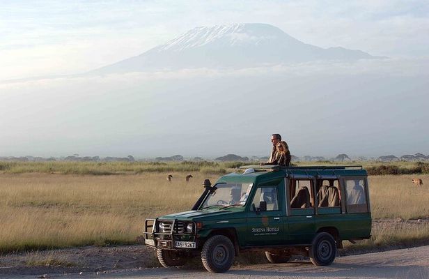 2 Days Amboseli Tour Van (Cost Based on Min 2 persons)
