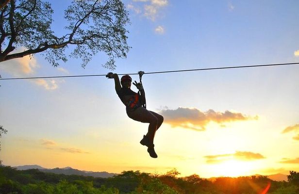 Customizable Zipline Adventure
