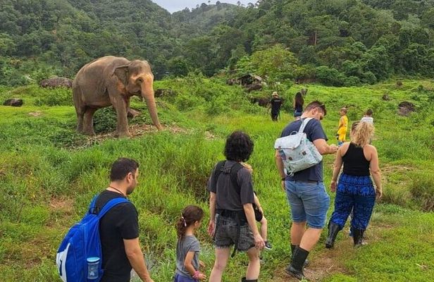 Phuket City Tour & Elephant Sanctuary: Sights, Tastes, Culture 