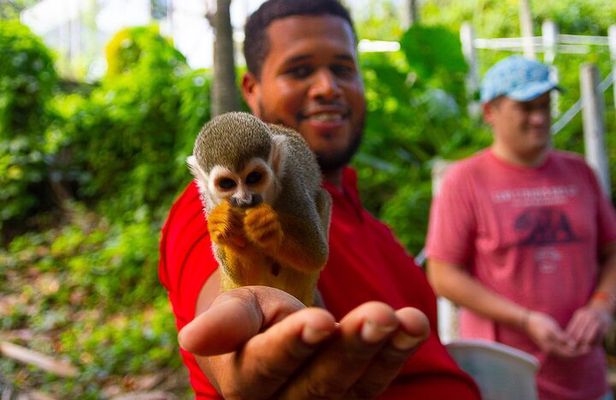 Monkey Enconter & Zip line Adventure
