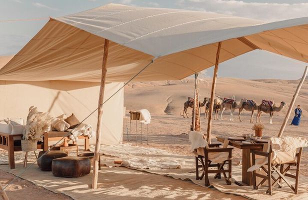 Nomad desert dinner camel ride & bonfire : Marrakech activity
