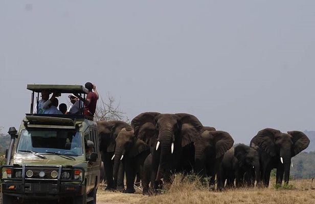 Private Full-Day Tour Akagera Game Drive
