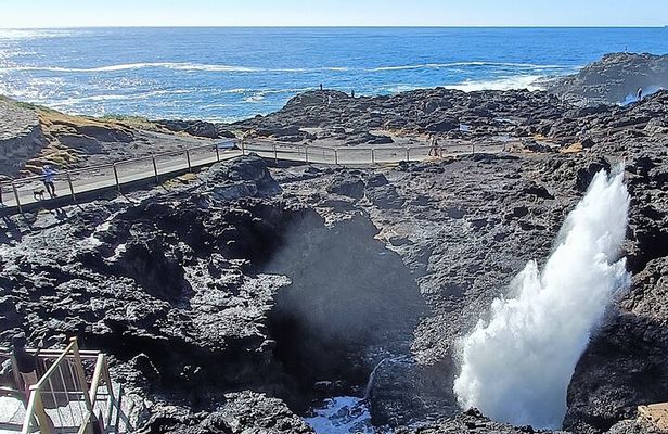 Escape Sydney: Sea Cliff Bridge, Blowhole, Beaches Private Tour