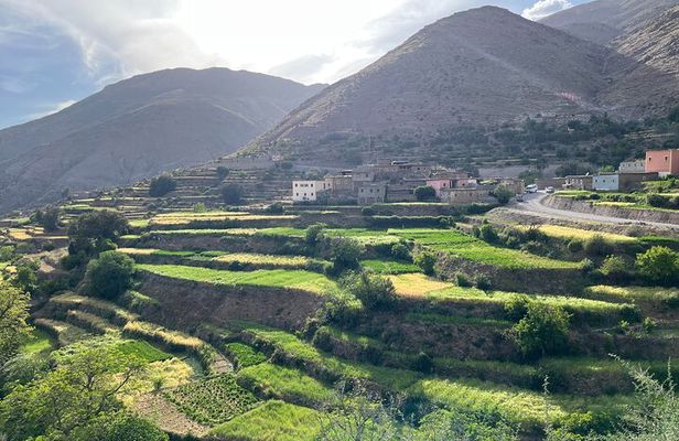Full-day High Atlas Mountains and Valleys Tour from Marrakech