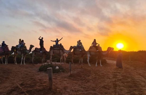 Agadir Sunset Camel Ride with Moroccan Barbecue & Hotel Transfers