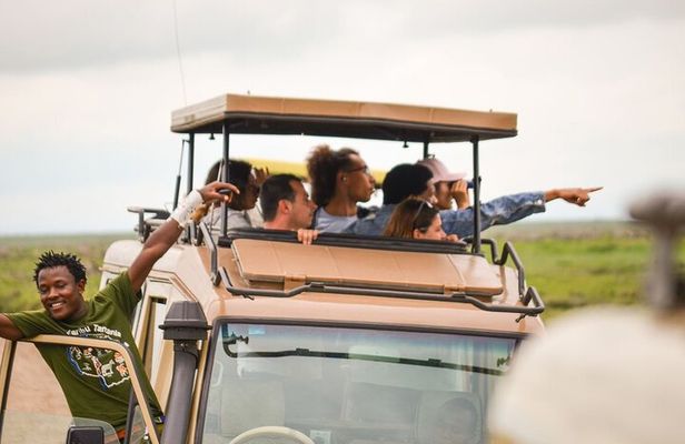 4-Day Private Safari Tour to Serengeti and Ngorongoro