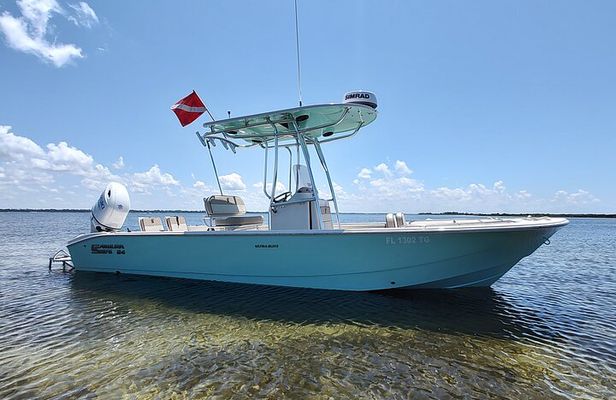 3-Hour Private Dolphin Sightseeing Adventure