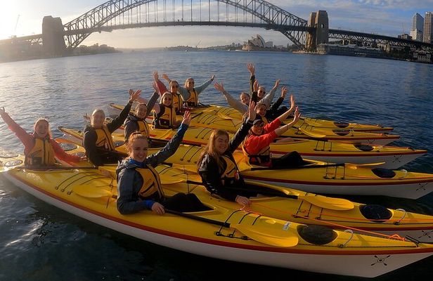 Beautiful Sydney Harbour Breakfast Kayaking Tour