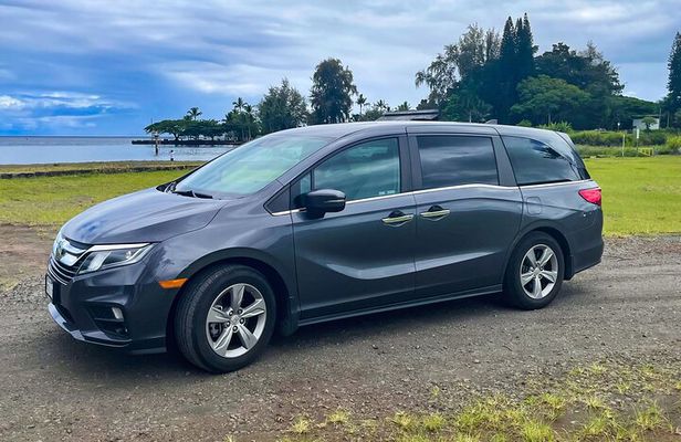 Private Custom Van Full-Day Guided Tour on Big Island of Hawaii