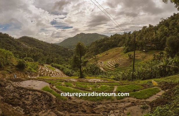 Knuckles Spice Trail Trek from Kandy