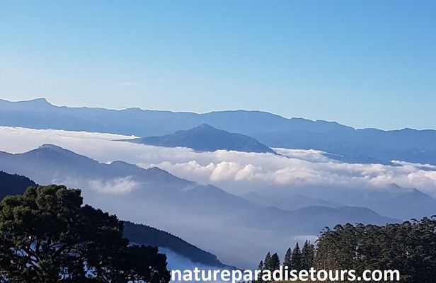 Exclusive knuckles Camping Tour from kandy