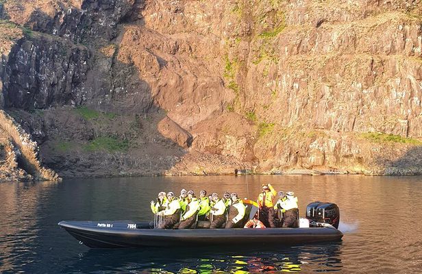 1 Hour Iceland Nature and Wildlife RIB Small Group Guided Safari