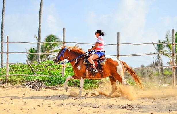 Sunset Horseback Riding Tour in Punta Cana (Private Option)