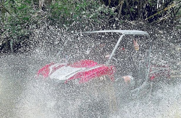 UTV adventure in Naguabo Puerto Rico 50 minutes trip 80 acres