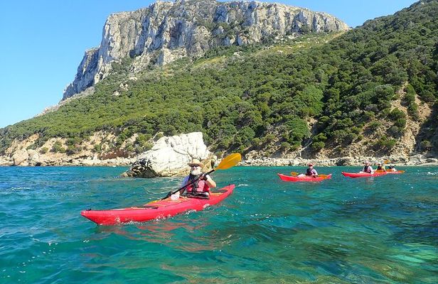 3-Hour Kayak Tour at Capo Figari (Golfo Aranci)