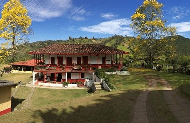 Salento and Cócora Tour plus Coffee Farm from Pereira or Armenia