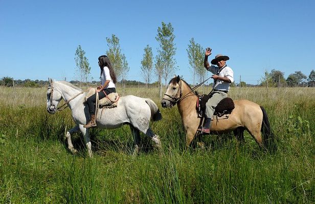 Full-Day Horseback Riding with Gauchos from Buenos Aires